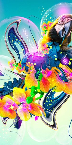 Colorful Parrot Surrounded by Flowers – An Abstract Phone Wallpaper