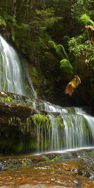 Breathtaking Nature Phone Wallpaper Featuring a Tranquil Waterfall and Lush Trees
