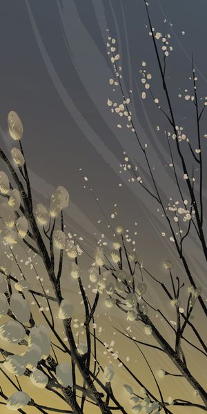 Artistic phone wallpaper featuring blooming pussy willow branches in vector style
