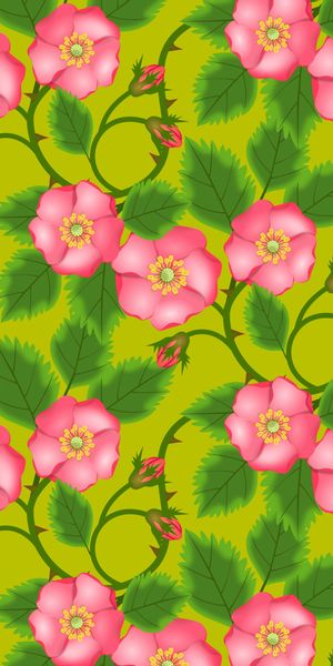 Phone wallpaper: Flowers, Patterns, Pink, Vector free download