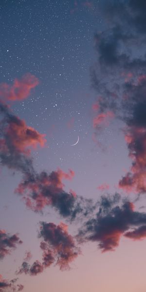 Breathtaking Night Sky with Moon and Stars
