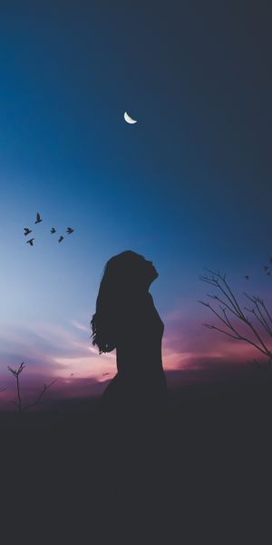 Silhouette of a Girl Against a Dark Night Sky with Moon and Birds