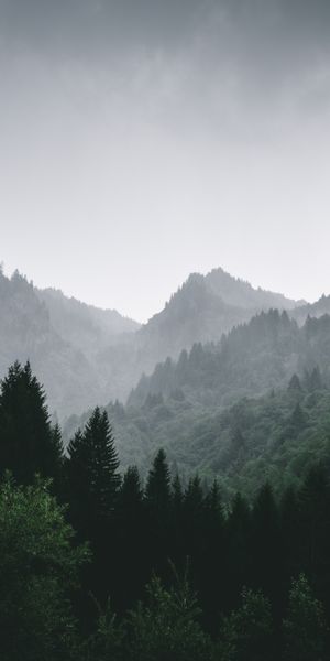Foggy Mountain Landscape - Perfect for Mobile Wallpaper