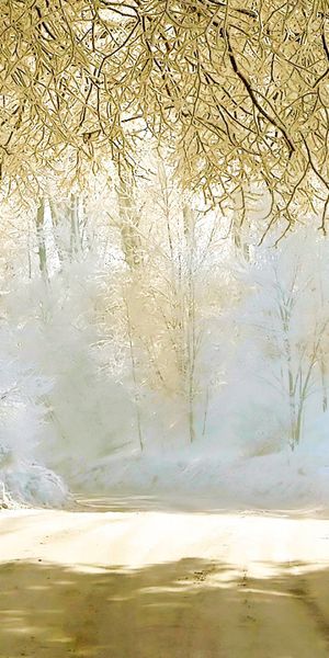 Enchanting Winter Road: A Serene Mobile Wallpaper for Nature Lovers