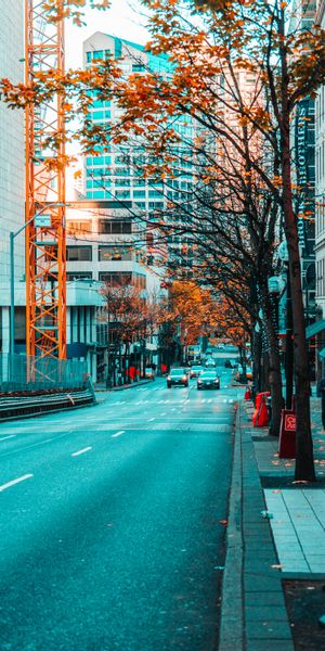 Vibrant Autumn Street Scene for Mobile Wallpaper