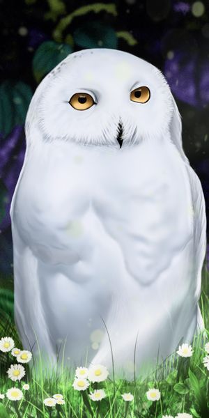 Phone wallpaper: Bird, Art, Owl free download