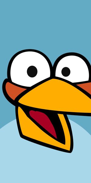 Angry Birds Character on Turquoise Background