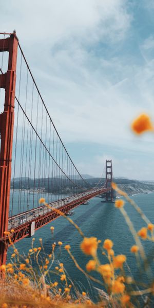 Awesome View of Golden Gate Bridge Surrounded by Flowers