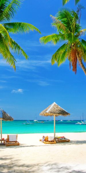 Beautiful Tropical Beach Scene with Palm Trees
