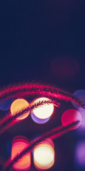Enchanting phone wallpaper featuring spikelets and cones with soft lights