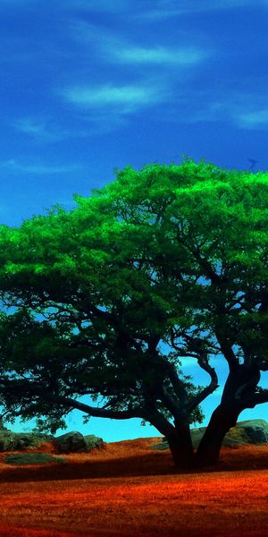 Vibrant Green Tree Under a Stunning Blue Sky