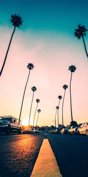 Breathtaking Sunset and Palm Trees at Redondo Beach, California