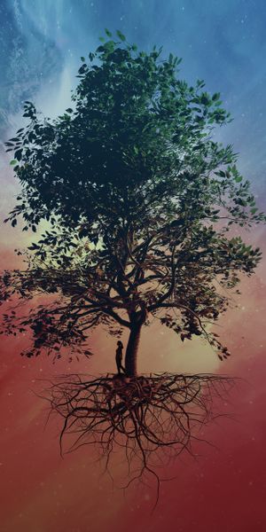 Phone wallpaper: Tree, Art, Wood, Sky, Silhouette free download
