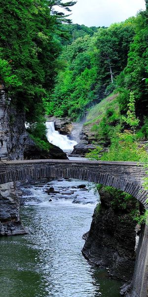 Breathtaking Landscape with a Bridge Surrounded by Lush Greenery