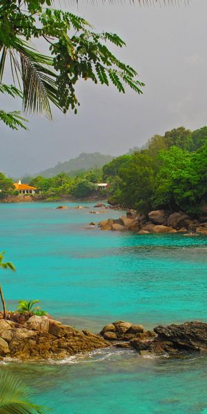 Tropical Island Paradise with Clear Waters and Lush Greenery