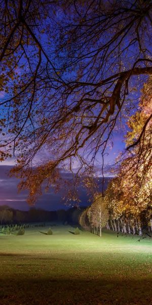 Phone wallpaper: Night, Park, Photography free download
