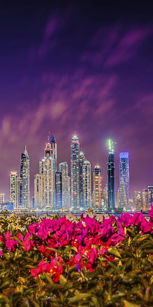 Phone wallpaper: Cities, Night, City, Skyscraper, Building, Flower, Dubai, United Arab Emirates, Man