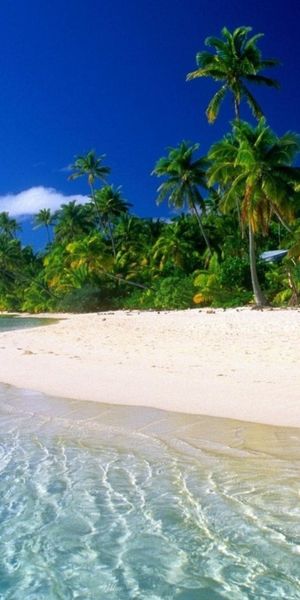 Breathtaking 4K beach landscape wallpaper for your phone background