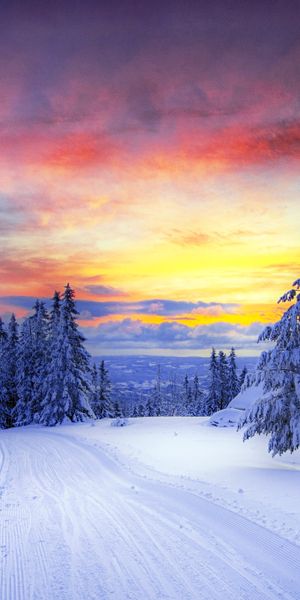 Breathtaking Winter Sunset Landscape with Snowy Trees