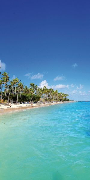Tropical Beach Paradise with Clear Waters and Lush Palms