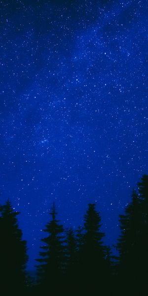 High-Quality Phone Wallpaper Featuring a Starry Night Sky and Blue Trees