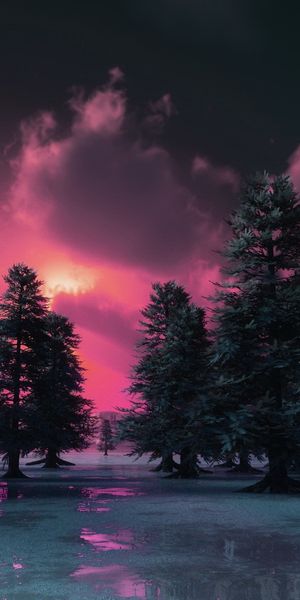 Breathtaking Forest Sunset iPhone Wallpaper - 4K Quality for Nature Lovers