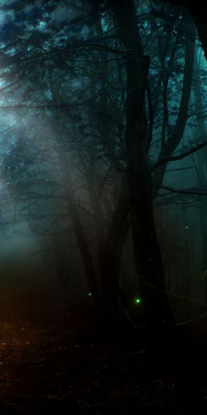 Artistic Forest Wallpaper Featuring Fireflies and Sunlight in a Lush Landscape