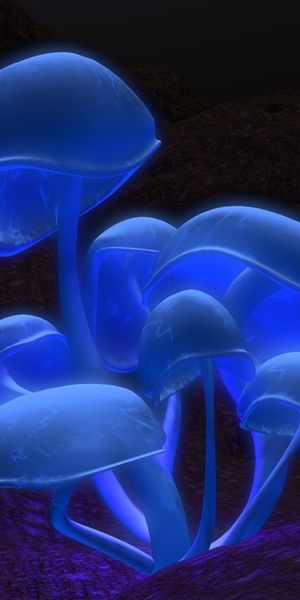Explore a mesmerizing blue mushroom mobile wallpaper - free and vibrant