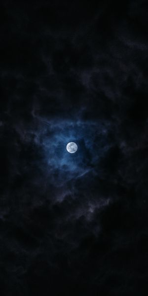 Enchanting Full Moon Illuminating the Night Sky