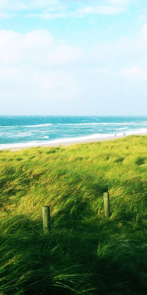Phone wallpaper: Beach, Photography, Walkway free download