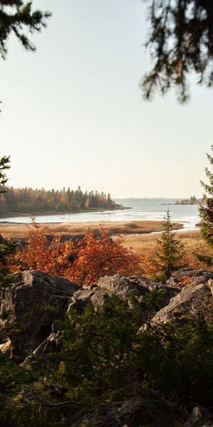 Breathtaking Autumn Landscape with Trees and a Serene Lake