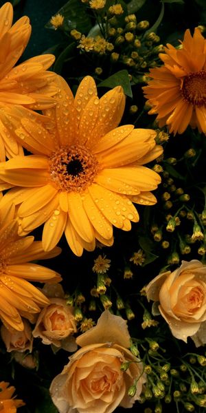 Beautiful 4K iPhone Wallpaper Featuring Lush Yellow Flowers and Greenery