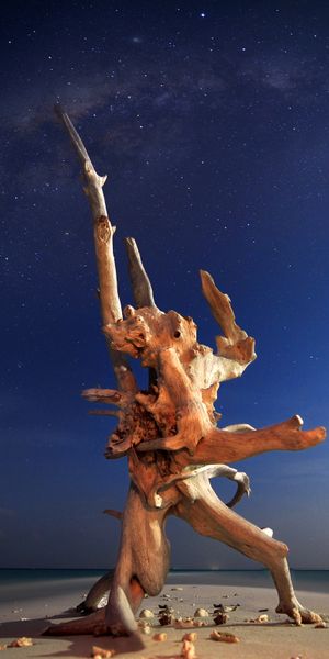 Phone wallpaper: Driftwood, Milky Way, Horizon, Beach, Ocean, Earth, Space, Night free download