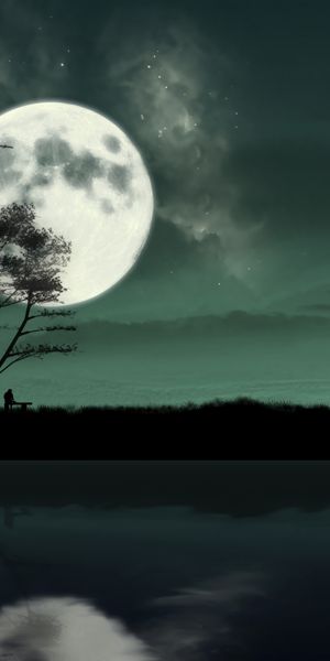 Captivating Moonlit Island Silhouette - Ultra HD Phone Wallpaper