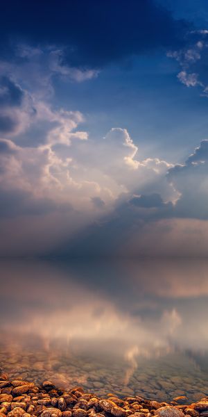 Lonely Tree at Twilight: A Serene Ocean Reflection