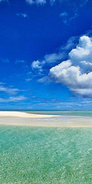 Tropical Beach with Azure Sky and Turquoise Waters