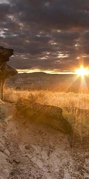 Breathtaking Sunrise Over a Unique Landscape