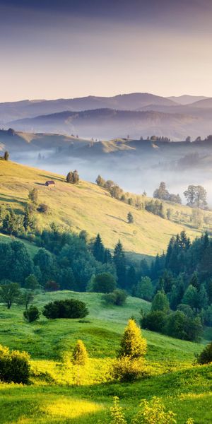 Serene Earth Landscape Phone Wallpaper: Lush Green Hills and Sunrise