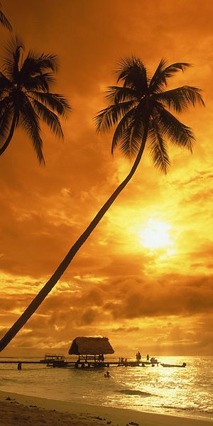 Breathtaking sunset beach wallpaper for iPhone - free download available