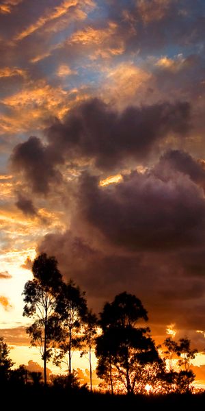 Breathtaking Earth Sunset Wallpaper in 4K for Your Phone