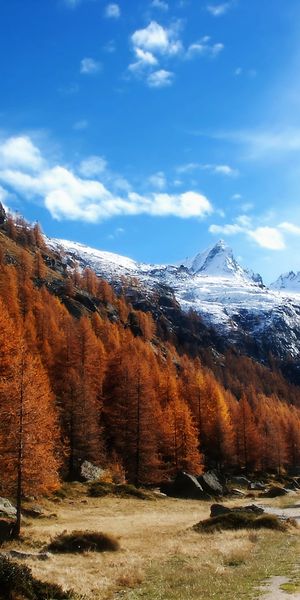 Breathtaking Autumn Mountain Landscape in Vibrant Colors