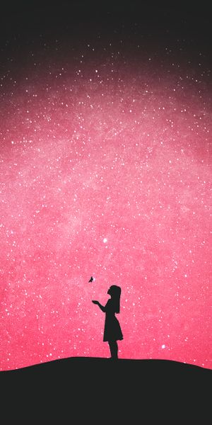 Silhouette of a Girl with a Butterfly Against a Starry Sky