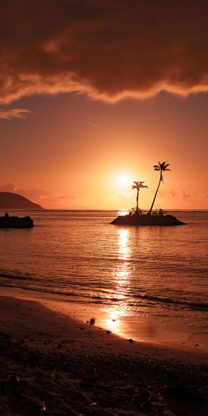 Beautiful Beach Sunset with Palms and Island