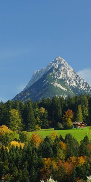 Breathtaking Mountain View with Vibrant Autumn Colors