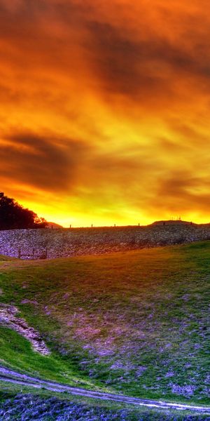 Phone wallpaper: Landscape, Sunset, Earth, Field free download