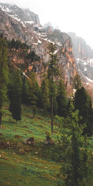 Phone wallpaper: Rocks, Fog, Trees, Mountains, Nature free download