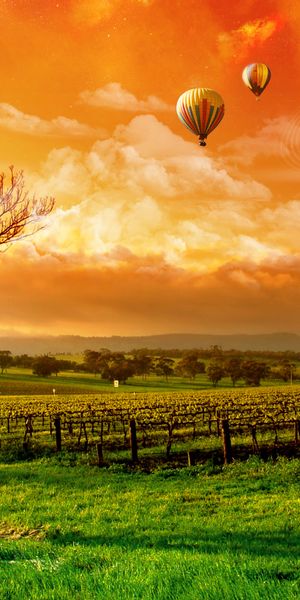 Phone wallpaper: Landscape, Sun, Earth, Planet, Cloud, A Dreamy World, Hot Air Balloon free download