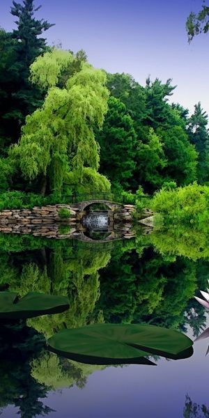 Phone wallpaper: Bridge, Flowers, Tree, Flower, Earth free download