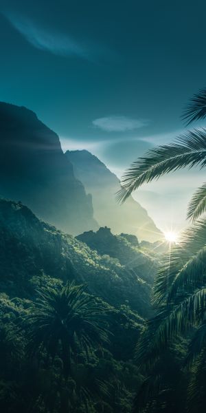 Cool Mountain Landscape with Sunlight and Lush Palms