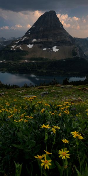 Phone wallpaper: Landscape, Nature, Sunset, Lakes, Mountain, Peak, Lake, Flower, Earth, Yellow Flowe